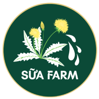 Bồ Công Anh Sữa Farm | Lá Thiên Nhiên